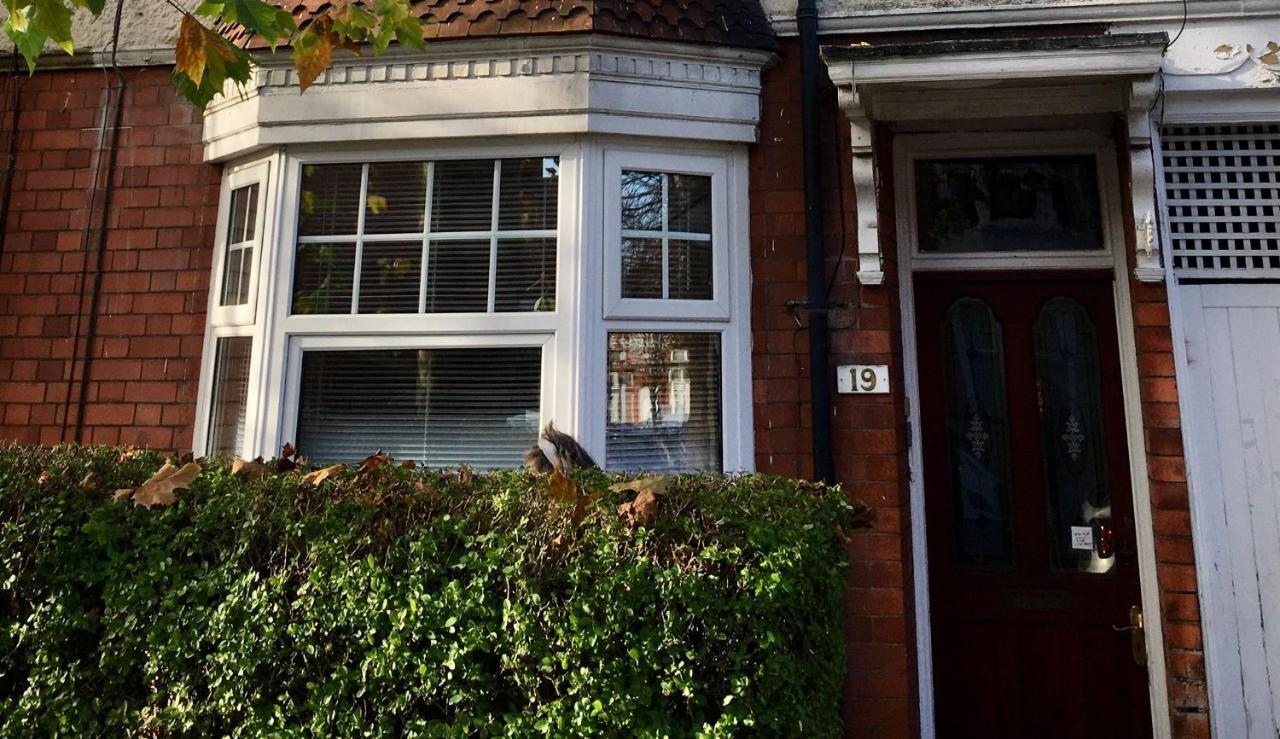 Lavender Apartment Leicester Dış mekan fotoğraf